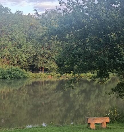banc-bord-etang-zen-gites-de-le-montee-perdrix-toulon-sur-allier-auvergne-rhone-alpes