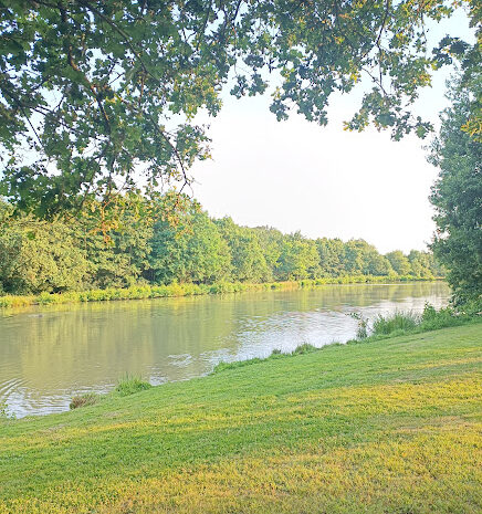 bords-etang-gites-de-le-montee-perdrix-toulon-sur-allier-auvergne-rhone-alpes