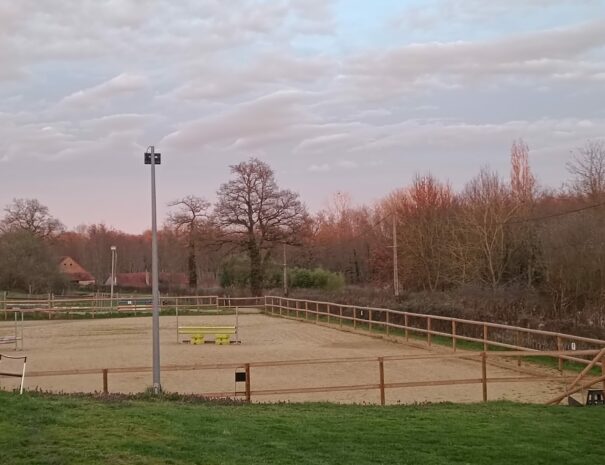 carriere-equestre-gites-de-la-montee-perdrix-toulon-sur-allier