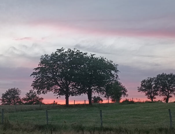 coucher-de-soleil-prairie-cerisier-vue-des-gites-ete-gites-de-la-montee-perdrix-toulon-sur-allier