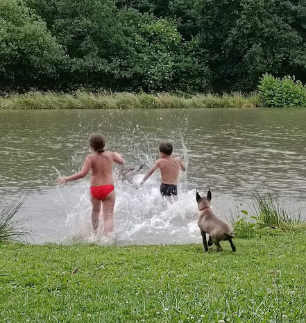 etang-baignade-enfants-gites-de-le-montee-perdrix-toulon-sur-allier-auvergne-rhone-alpes