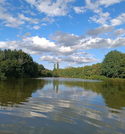etang-nature-verdrure-ciel-bleu-gites-de-le-montee-perdrix-toulon-sur-allier-auvergne-rhone-alpes