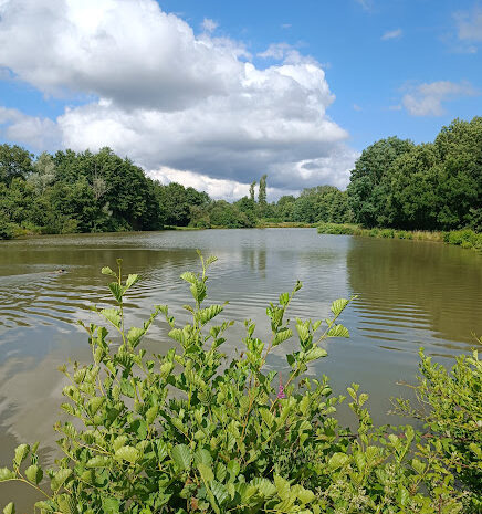 etang-printemps-gites-de-le-montee-perdrix-toulon-sur-allier-auvergne-rhone-alpes