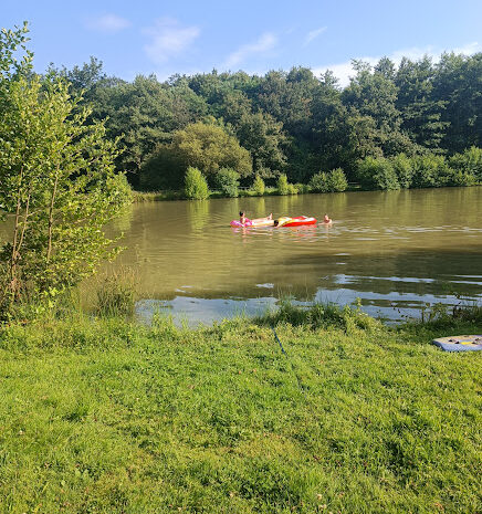 etang-verdure-baignade-gites-de-le-montee-perdrix-toulon-sur-allier-auvergne-rhone-alpes