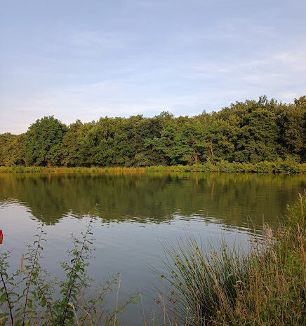 etang-verdure-foret-gites-de-le-montee-perdrix-toulon-sur-allier-auvergne-rhone-alpes