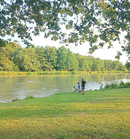 plage-etang-chenes-ombre-gites-de-le-montee-perdrix-toulon-sur-allier-auvergne-rhone-alpes