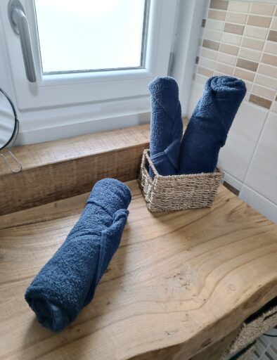 salle-de-bain-serviette-service-gite-etable-gites-de-la-montee-perdrix-toulon-sur-allier