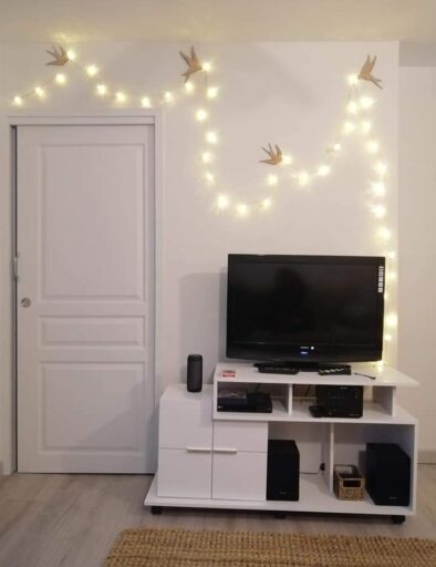 salon-gite-le-fenil-television-gites-de-la-montee-perdrix-toulon-sur-allier